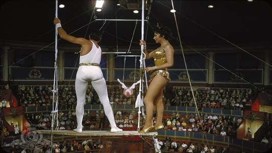 Trapeze - Backdrop