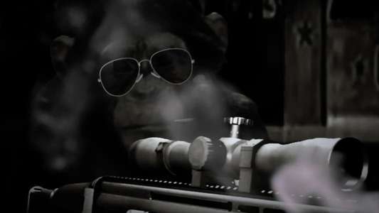 Chop Chop Chang: Operation C.H.I.M.P - Backdrop