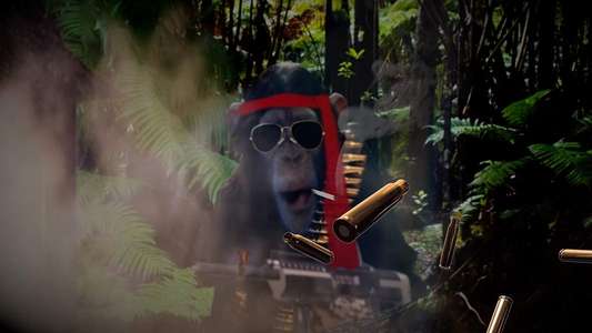 Chop Chop Chang: Operation C.H.I.M.P - Backdrop