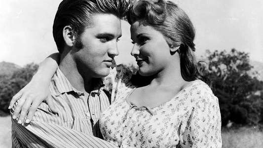 Love Me Tender - Backdrop