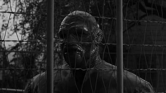 The Creature Walks Among Us - Backdrop