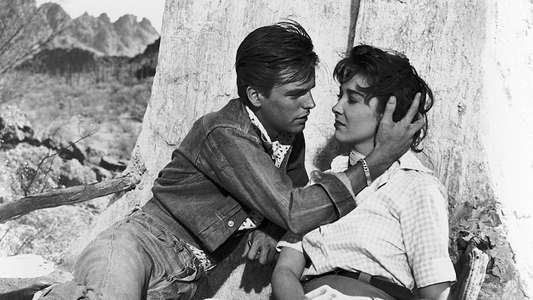 A Kiss Before Dying - Backdrop