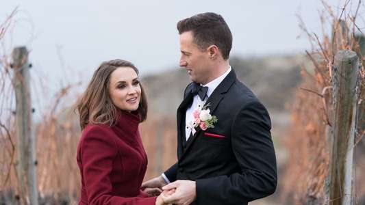 Valentine in the Vineyard - Backdrop