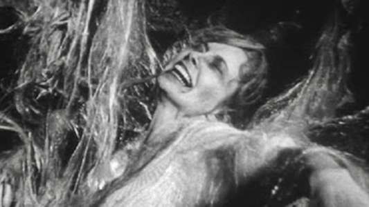 Beast from Haunted Cave - Backdrops