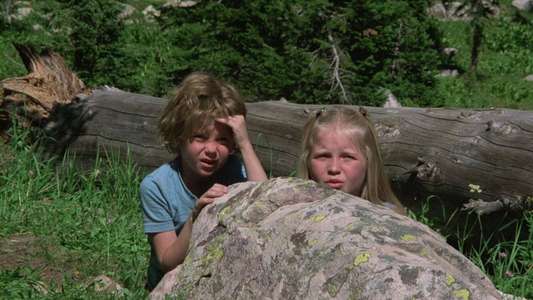Further Adventures of the Wilderness Family - Backdrops