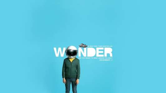 Wonder - Backdrop