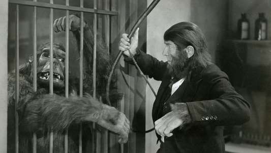 The Ape Man - Backdrop