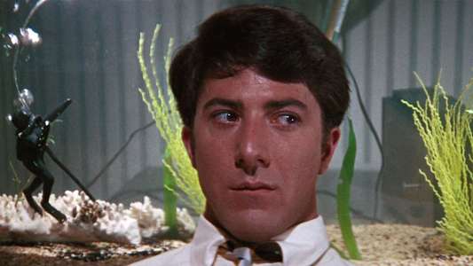 The Graduate - Backdrop