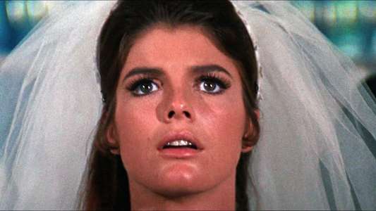 The Graduate - Backdrop