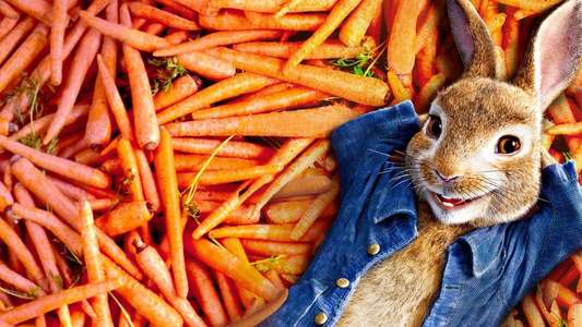 Peter Rabbit - Backdrop