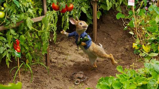 Peter Rabbit - Backdrop