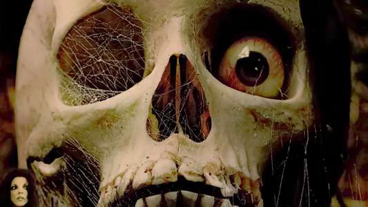 Tales from the Crypt - Backdrop