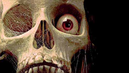 Tales from the Crypt - Backdrop