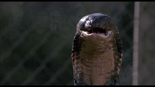 Sssssss - Backdrop