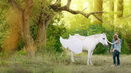 Pegasus: Pony With a Broken Wing - Backdrop