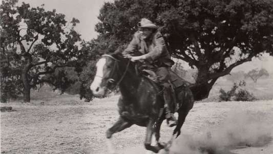 The Man from the Alamo - Backdrop