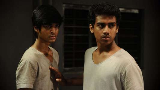 Sagaa - Backdrop