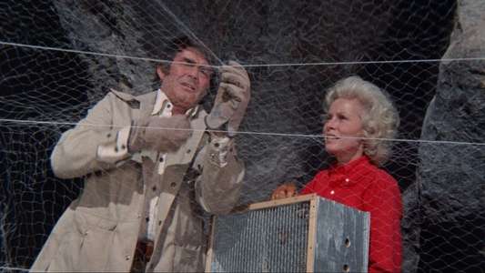 Night of the Lepus - Backdrop