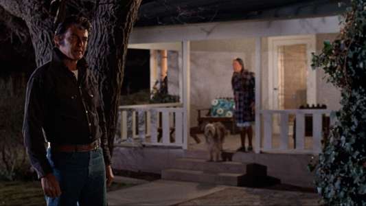 Night of the Lepus - Backdrop