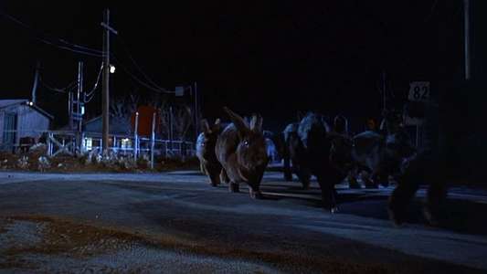 Night of the Lepus - Backdrop