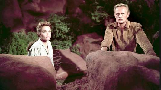 The Last Wagon - Backdrop