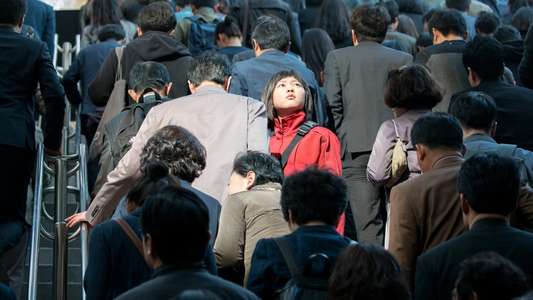 Okja - Backdrop