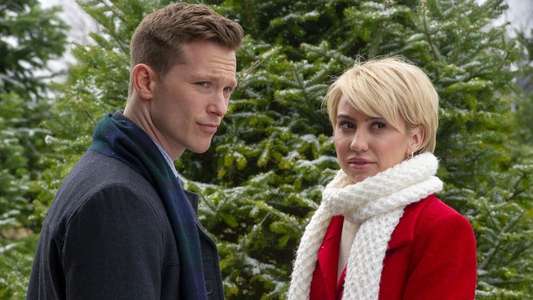 A Christmas for the Books - Backdrops