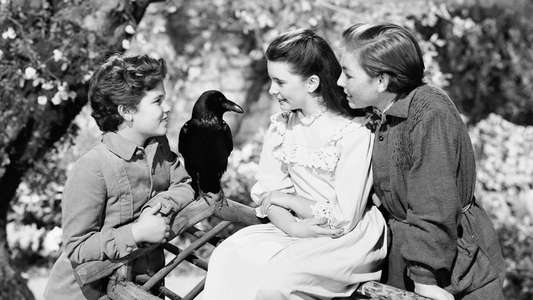 The Secret Garden - Backdrops
