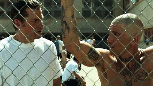 Shot Caller - Backdrop