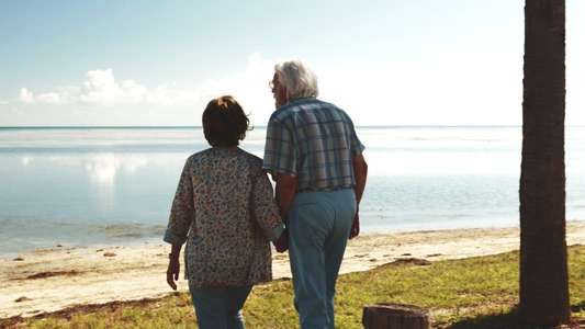 The Leisure Seeker - Backdrop