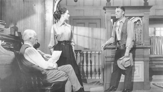 The Stranger Wore a Gun - Backdrop