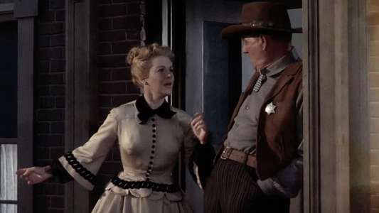 The Stranger Wore a Gun - Backdrop