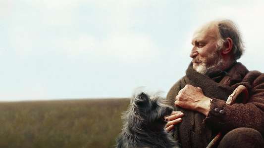 Greyfriars Bobby: The True Story of a Dog - Backdrop