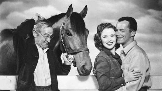 The Story of Seabiscuit - Backdrops