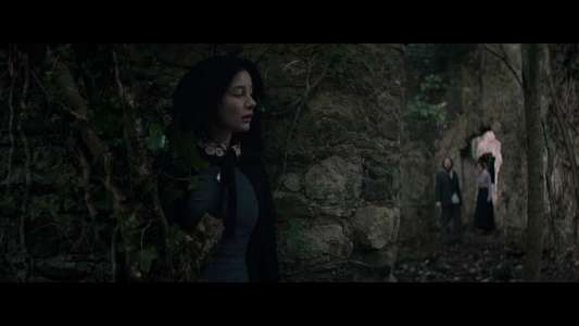 The Lodgers - Backdrop