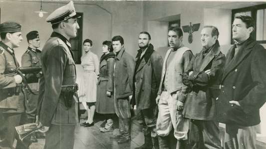 The Guns of Navarone - Backdrop