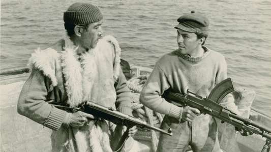 The Guns of Navarone - Backdrop