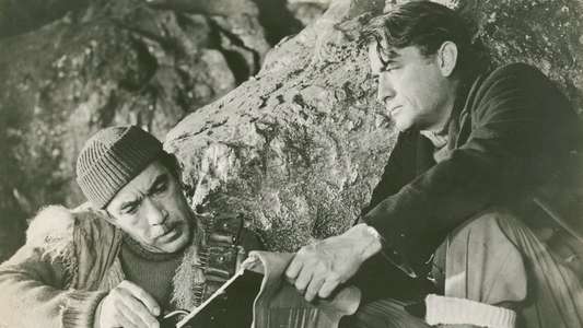 The Guns of Navarone - Backdrop