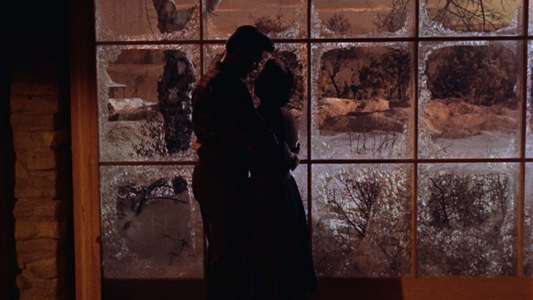 All That Heaven Allows - Backdrop