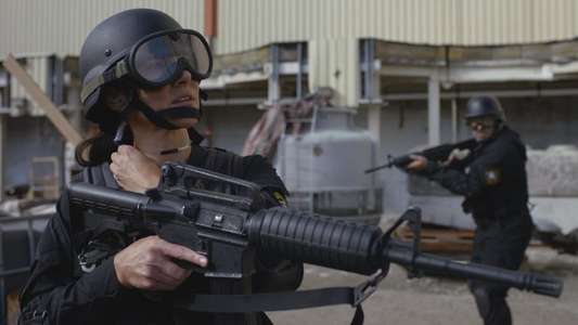 S.W.A.T.: Under Siege - Backdrop