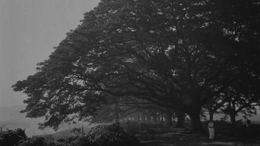 The Cloud-Capped Star - Backdrops