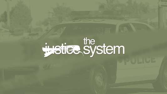The System - Backdrop