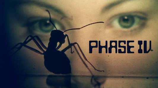 Phase IV - Backdrop