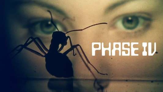 Phase IV - Backdrop
