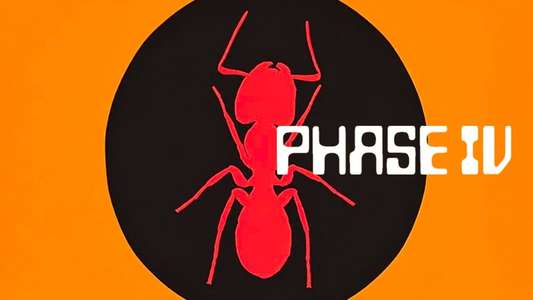 Phase IV - Backdrop