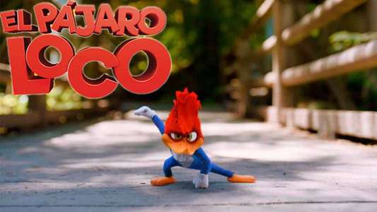 Woody Woodpecker - Backdrop