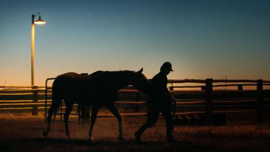 Lean on Pete - Backdrop