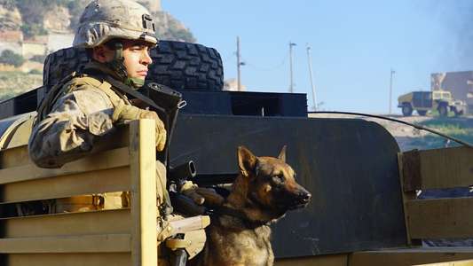 Megan Leavey - Backdrop