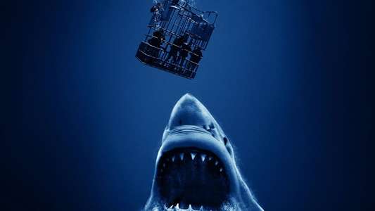 Cage Dive - Backdrop