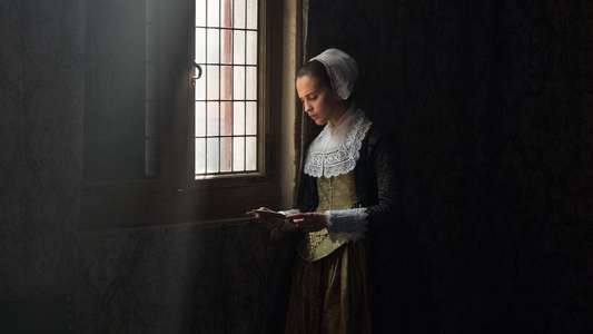 Tulip Fever - Backdrop